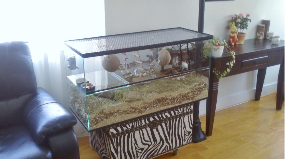 Gerbilarium 100x40x50